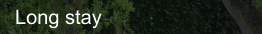 Long stay